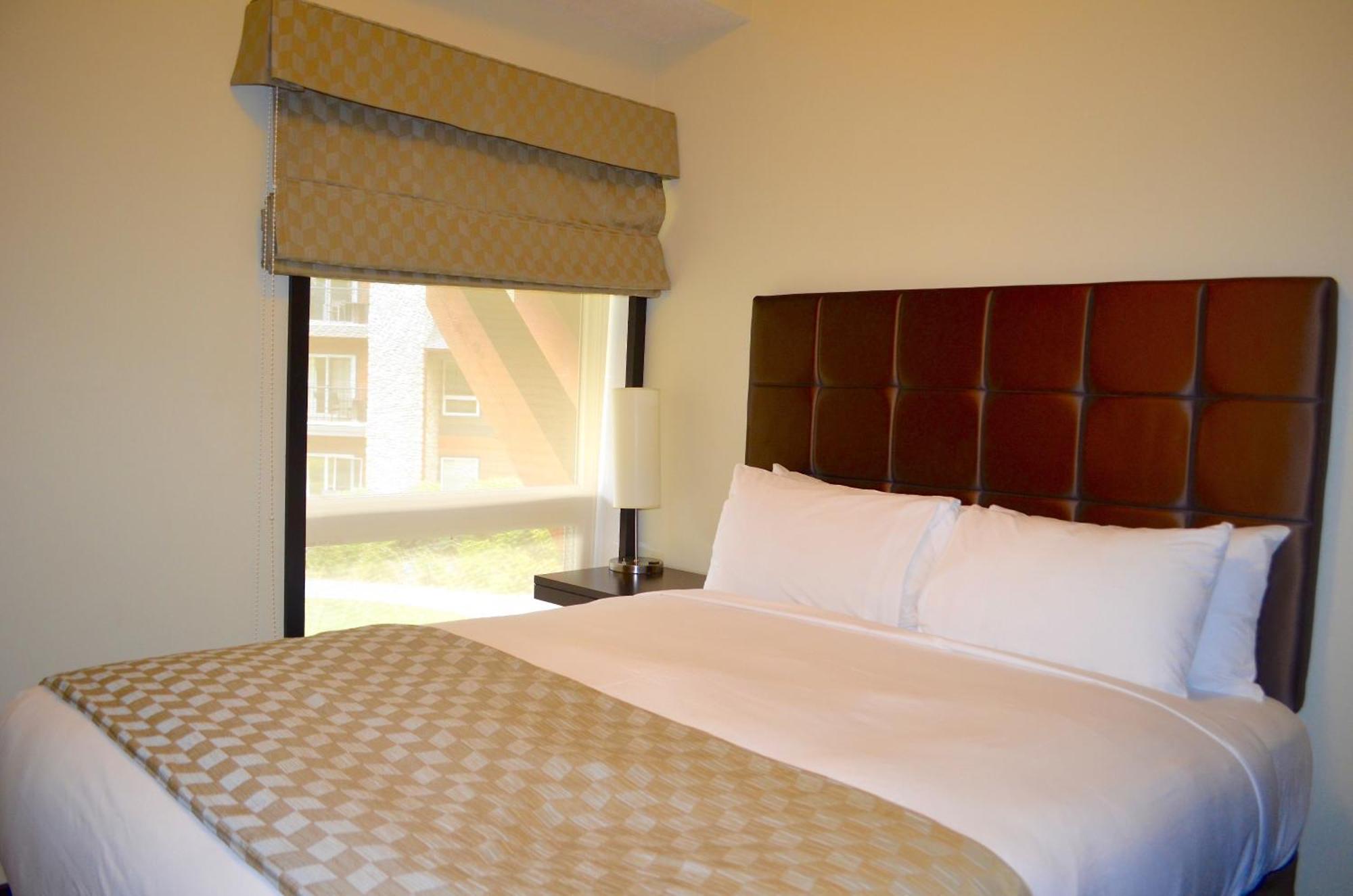 One-Bedroom Suite Mountain View