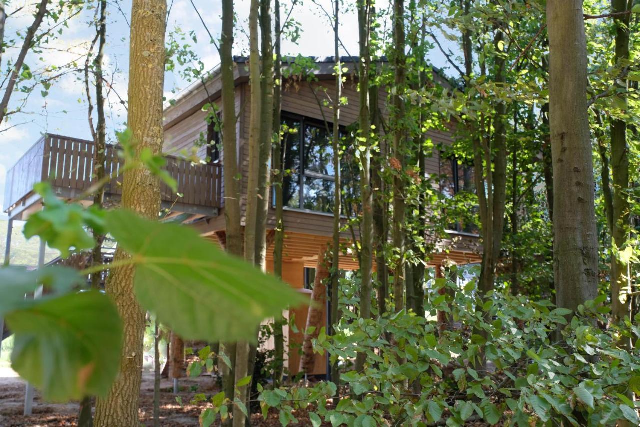 Superior Chalet