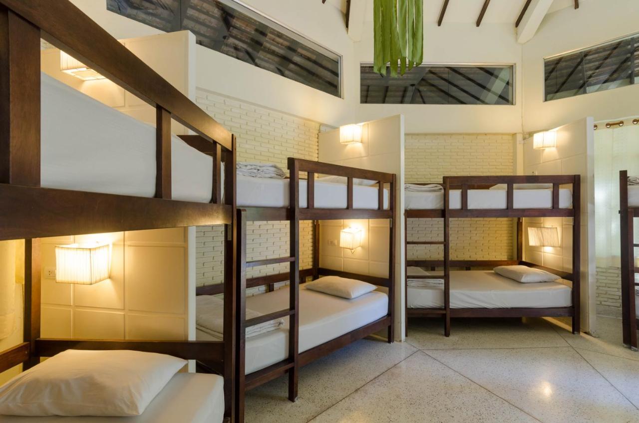 10-Bed Mixed Dormitory Room,737702629:JPEG