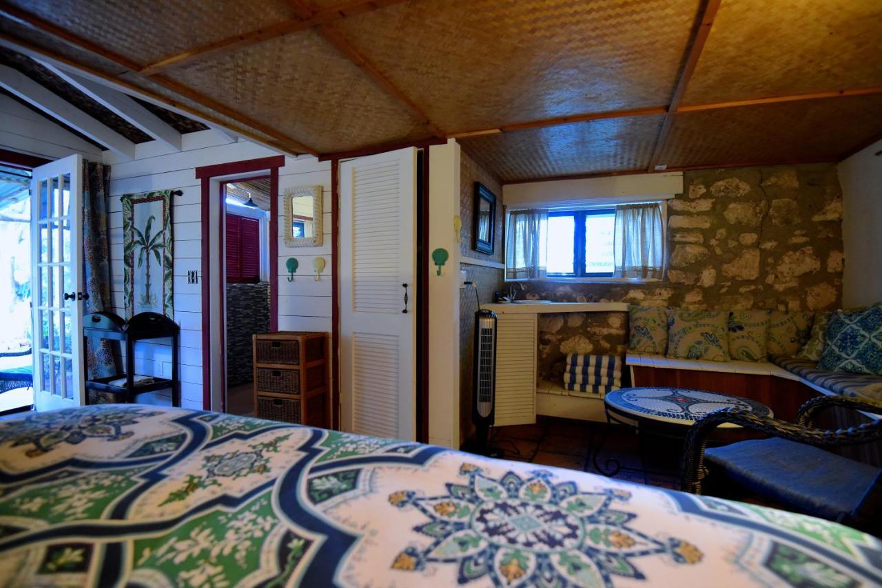 Studio with Garden View,775345402:JPEG