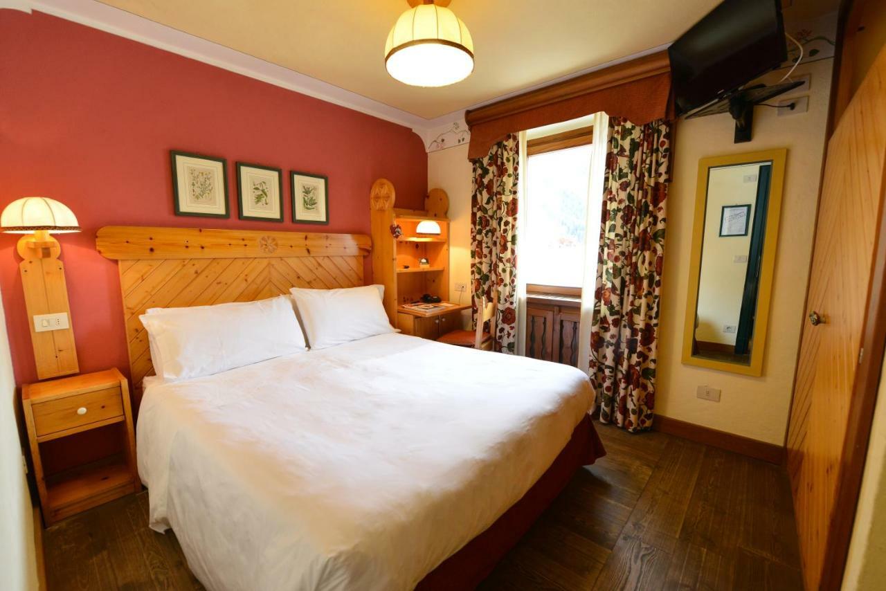 Junior Double Room,784394532:JPEG