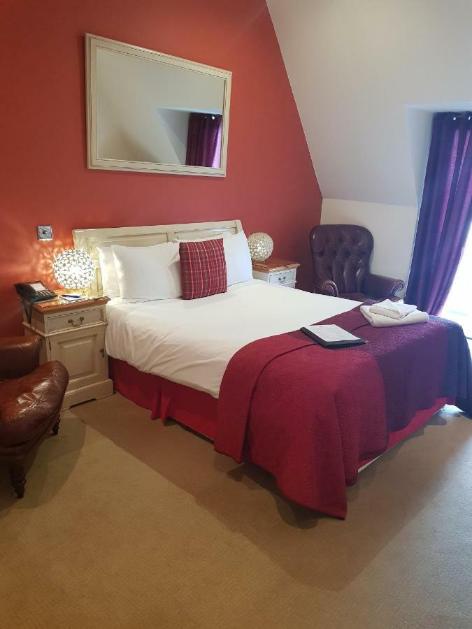 Executive Double Room Not Dog Friendly,1028857537:JPEG