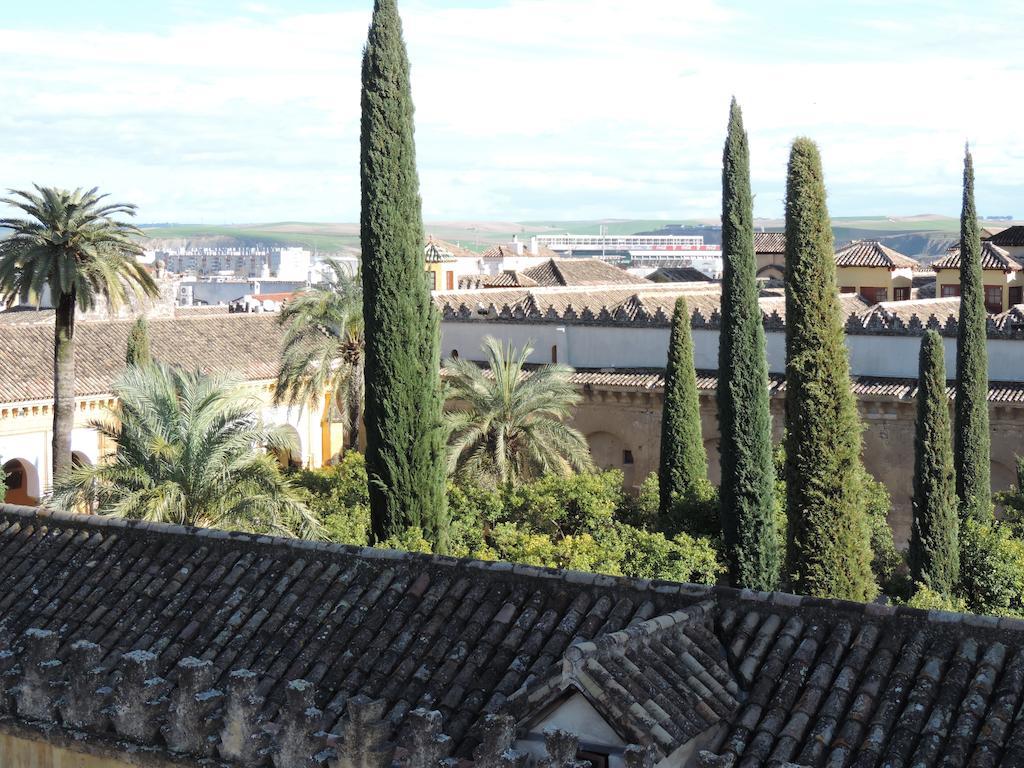 Double Room View