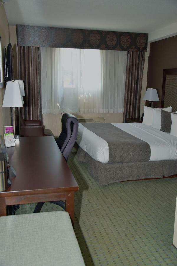 Coast King,813348948:JPEG