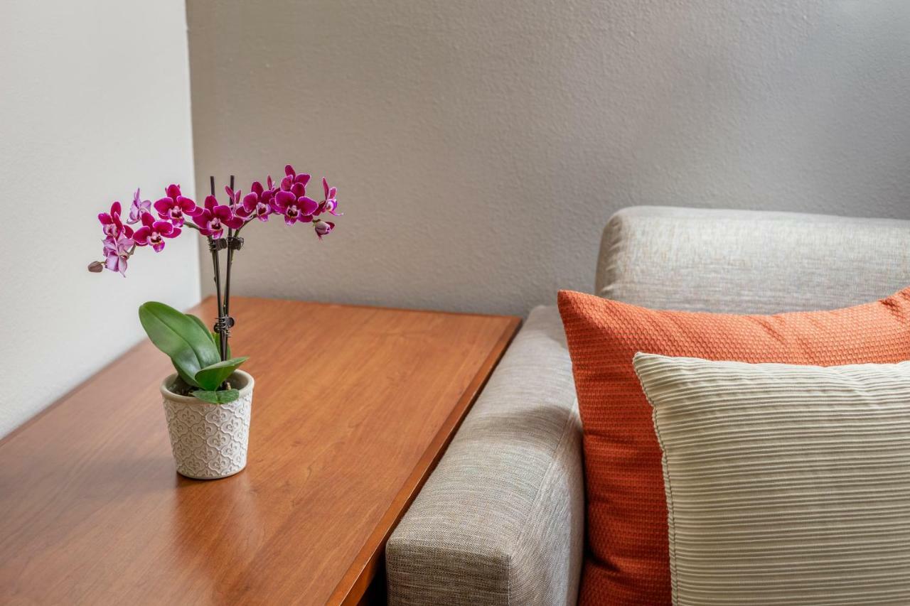 Double Room with Two Double Beds and Sofa Bed,1211347243:JPEG