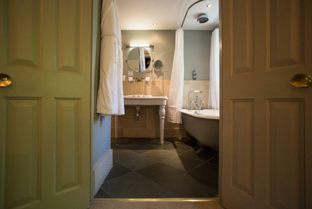 Comfy Vine (Not Pet Friendly),943468237:JPEG