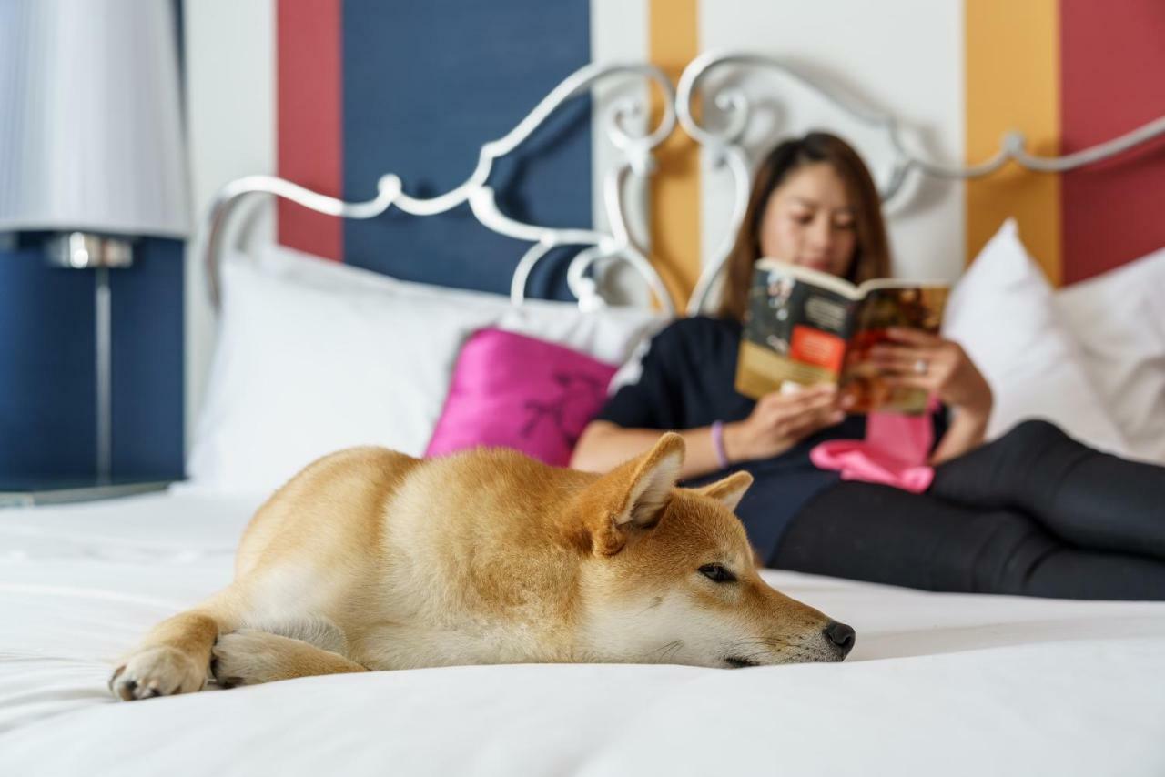 Deluxe King Room,1623651944:JPEG