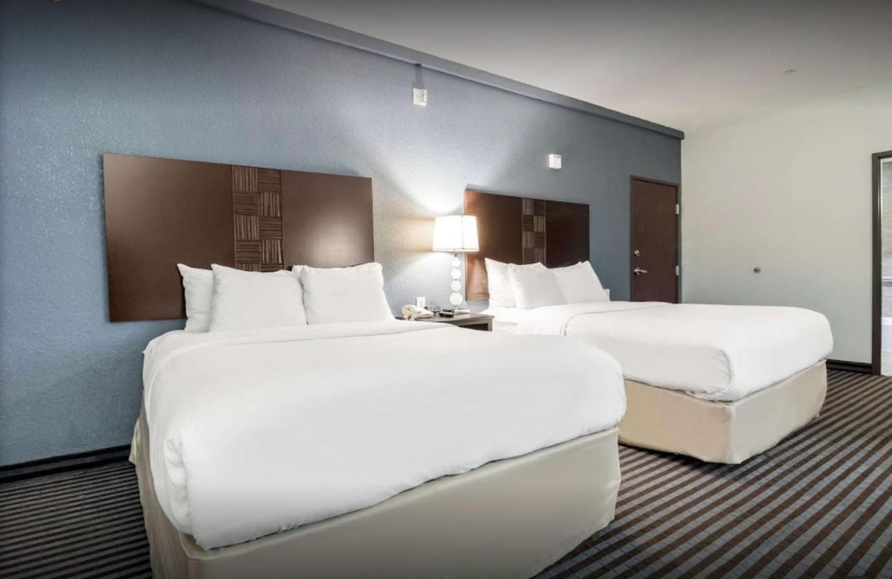 Queen Room with Two Queen Beds - Disability Access - Non-Smoking,925581319:JPEG