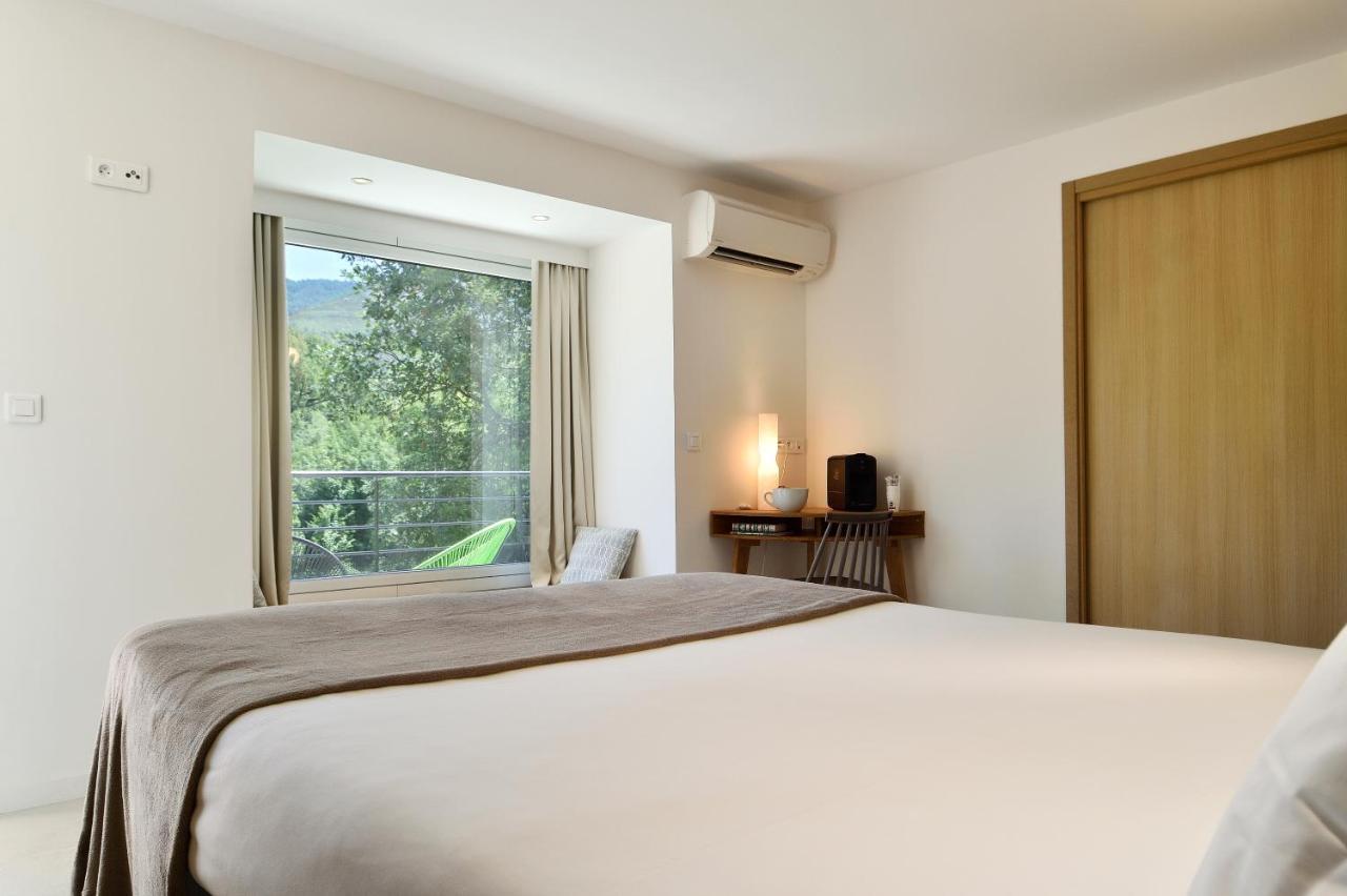 Junior Suite Terrace