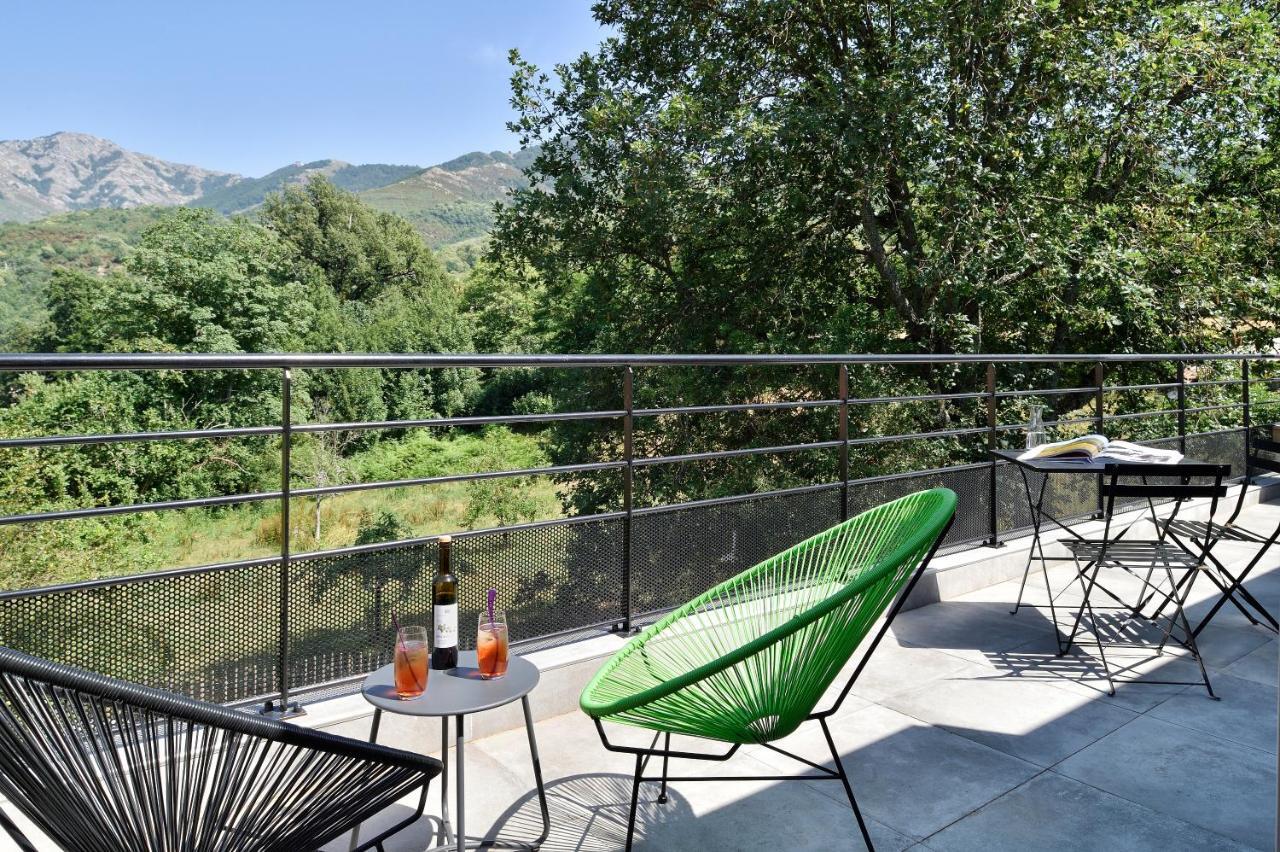 Junior Suite Terrace