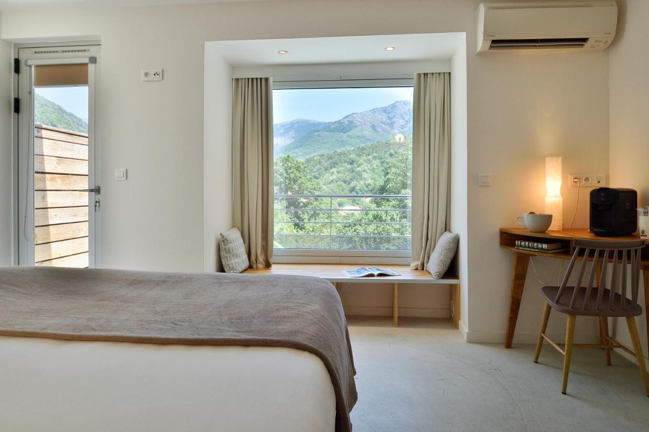 Junior Suite Terrace