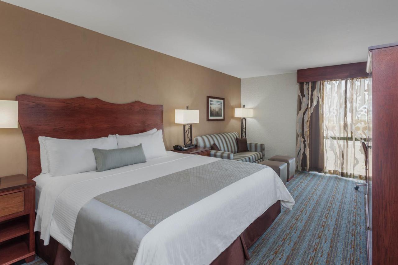 Executive King Room - Non-Smoking