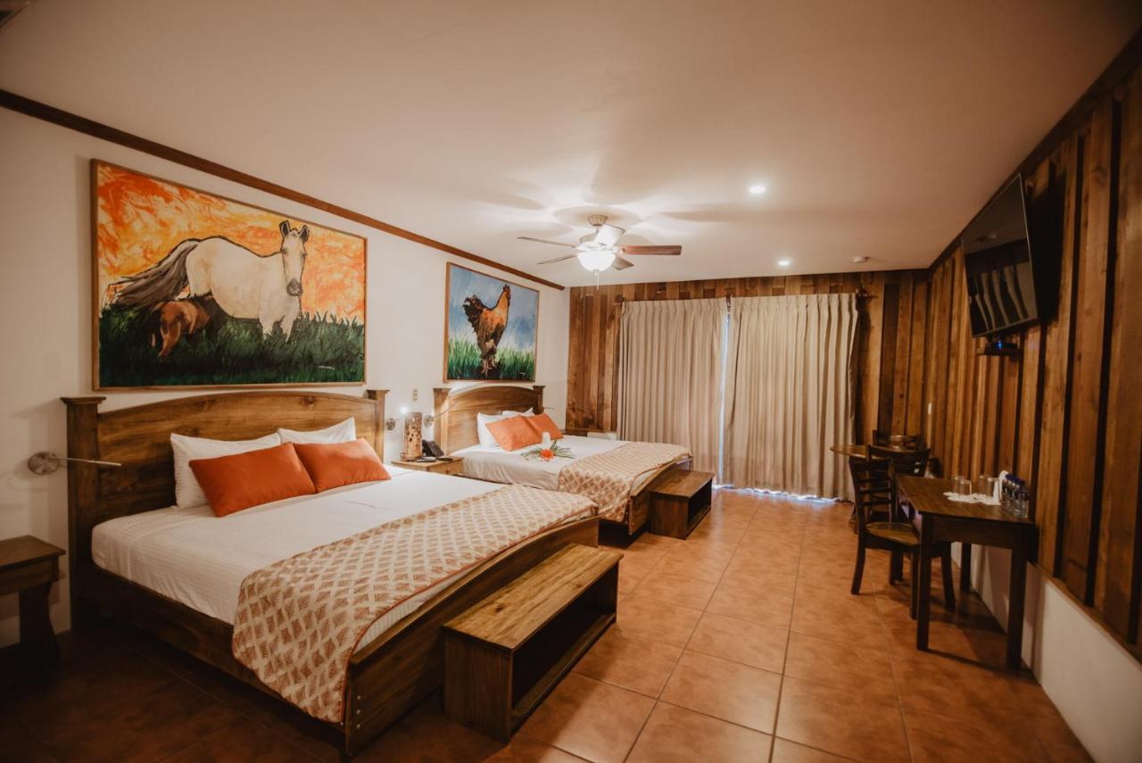 Superior Suite
