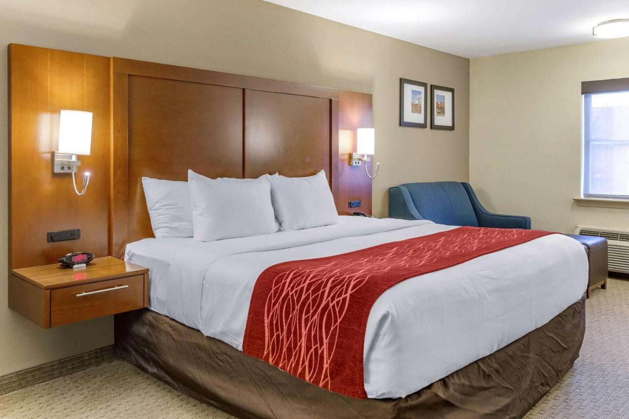 Standard King Room with Sofa Bed - Non-Smoking
