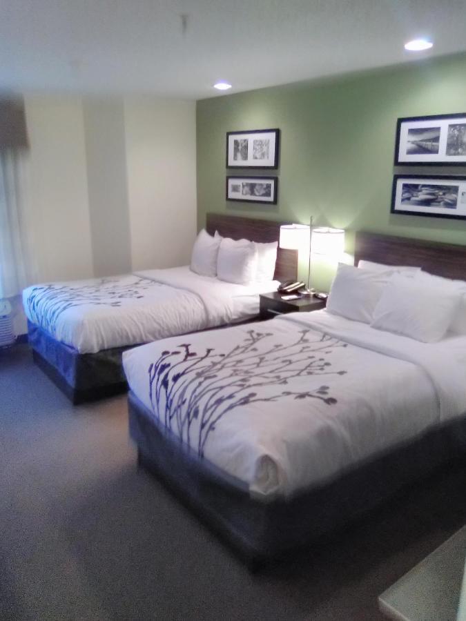 Double Room Two Double Beds