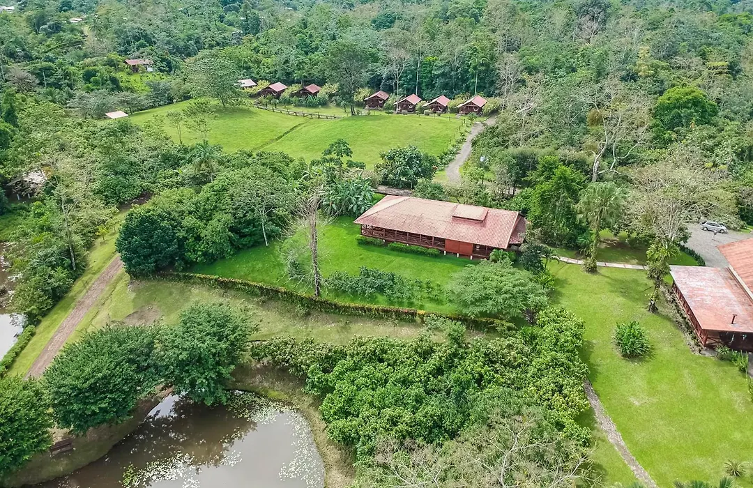 La Anita Rain Forest-1