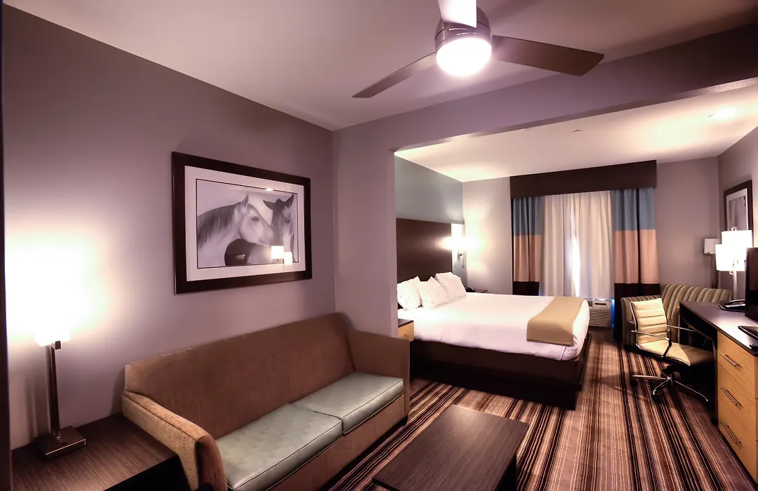 Holiday Inn Express & Suites Amarillo West By Ihg-1