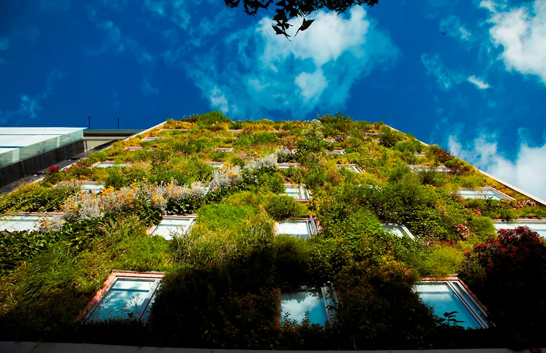 Hotel B3 Virrey-1