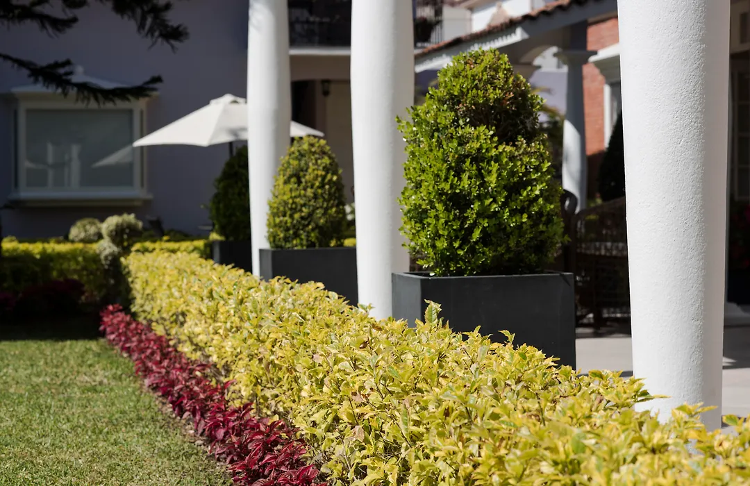 Casa Bonita Hotel & Luxury Residence-1