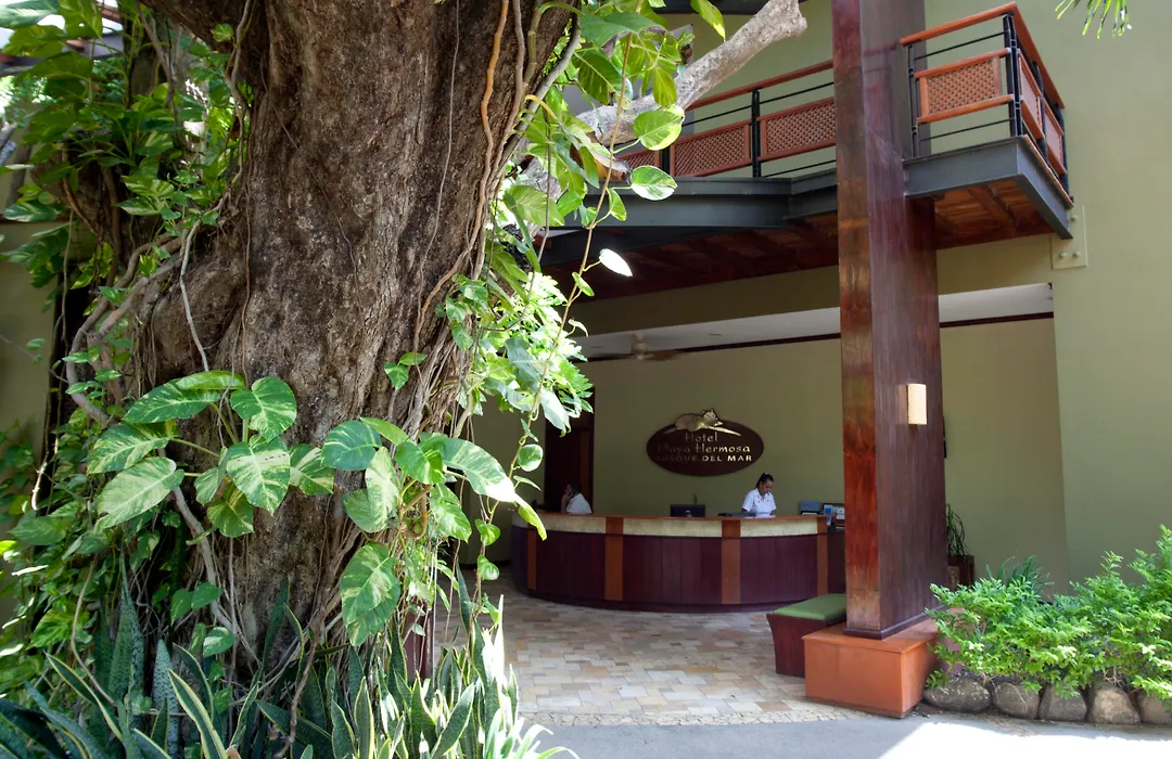 Hotel Bosque Del Mar Playa Hermosa-1