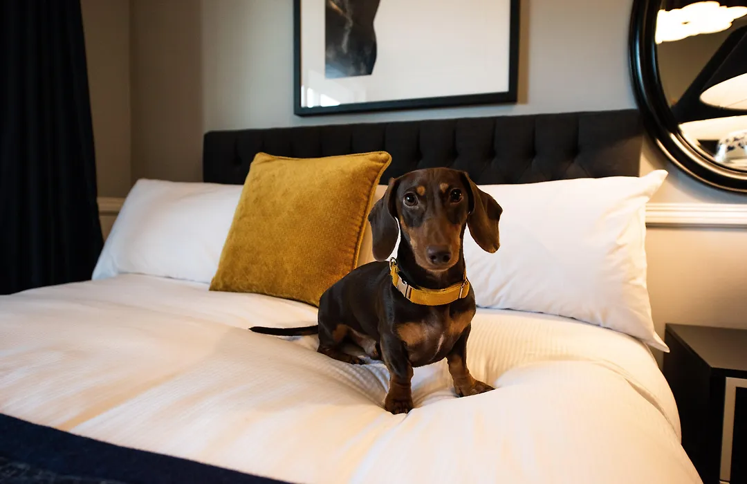 Voco Kirkton Park Hunter Valley By Ihg-1