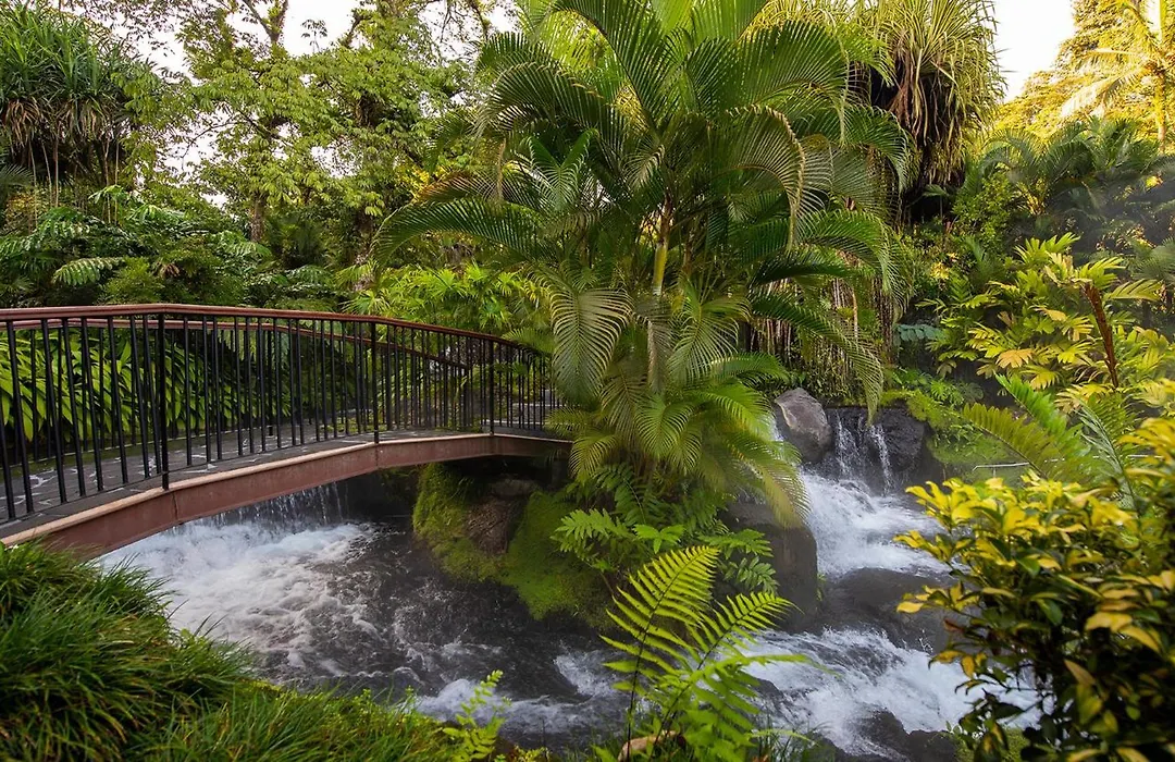 Tabacon Thermal Resort & Spa-1
