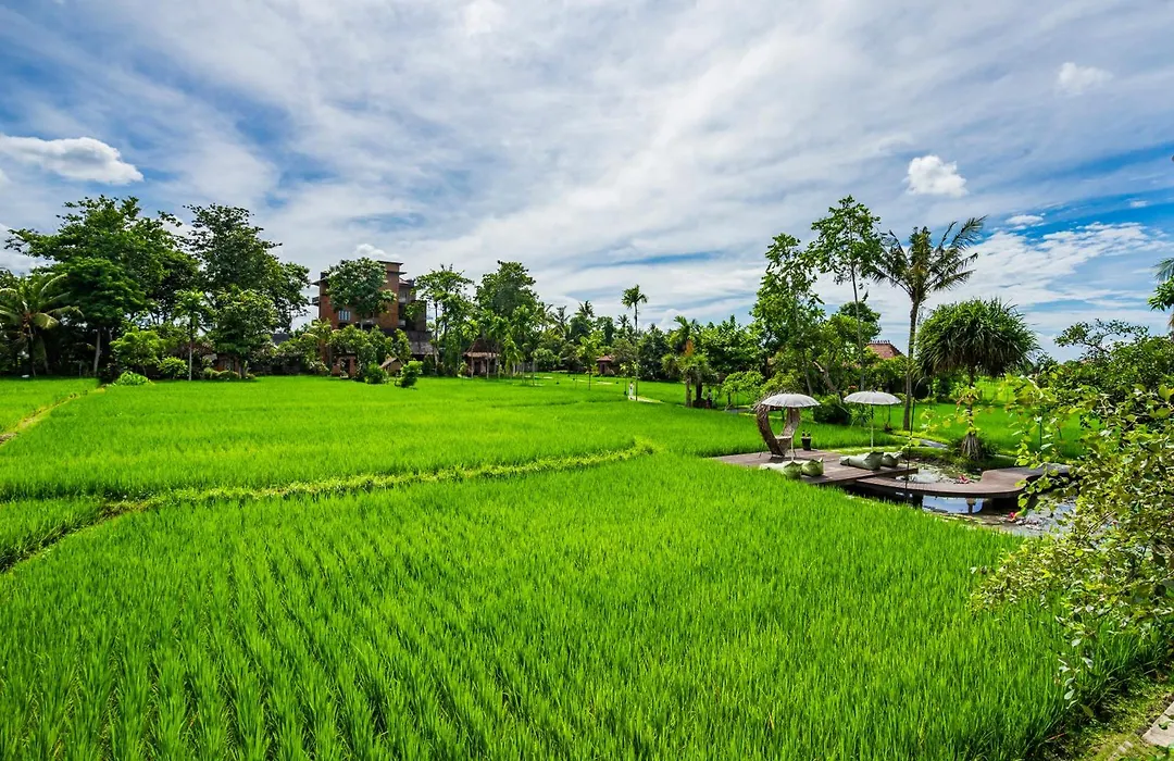 Kajane Yangloni At Ubud Bali-1
