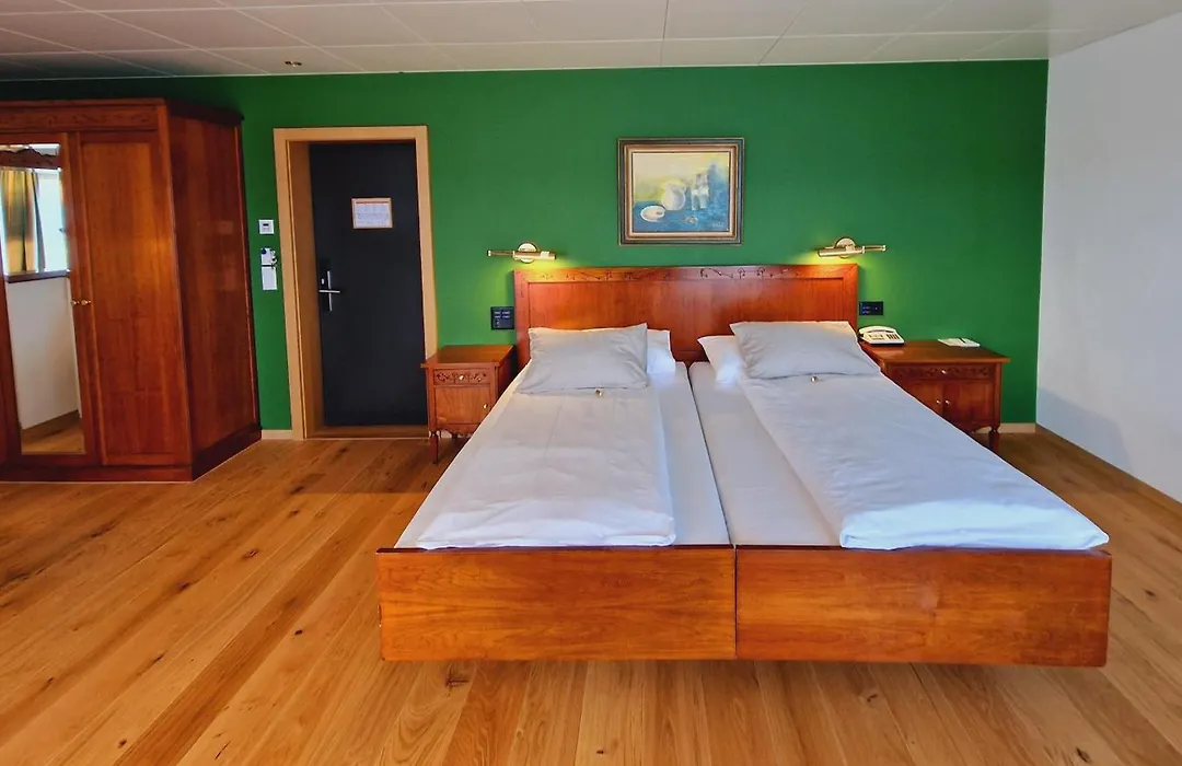 Engimatt City & Garden Hotel-1