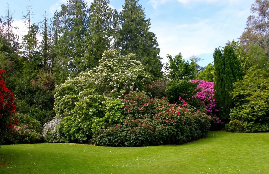 Maryborough Hotel & Spa-1