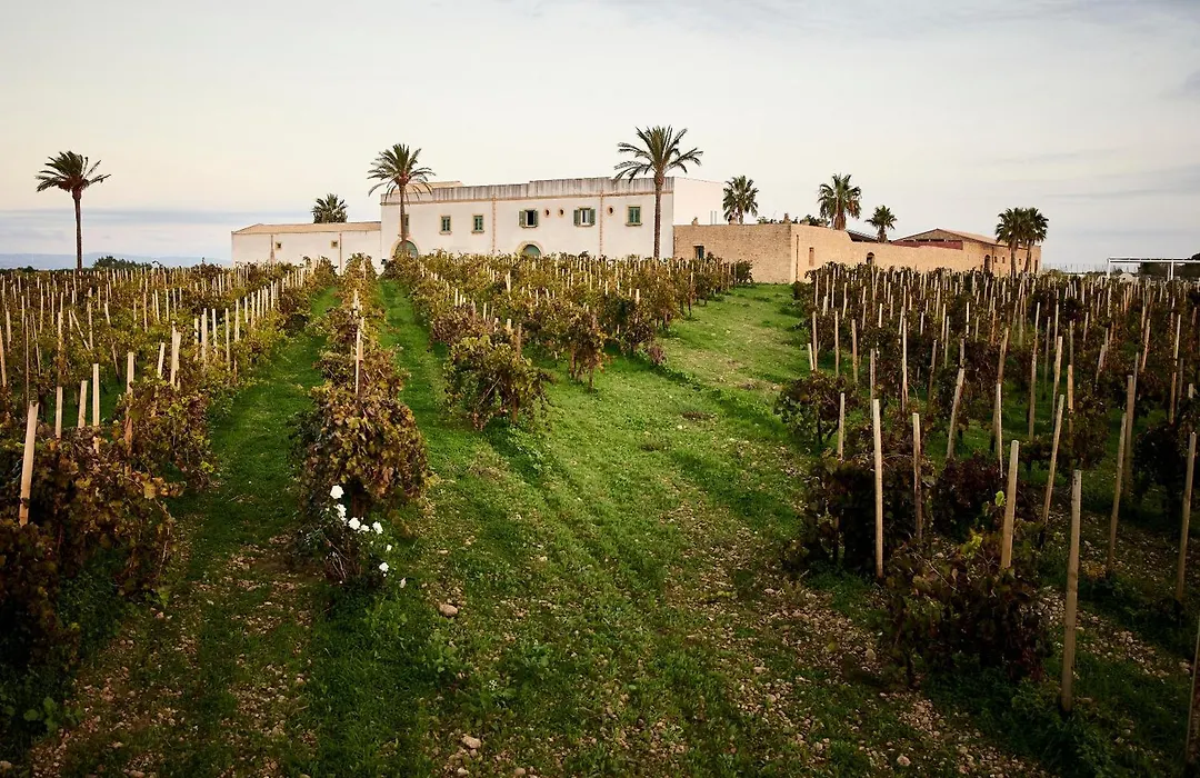 Agriturismo Baglio Donnafranca Wine Resort-1