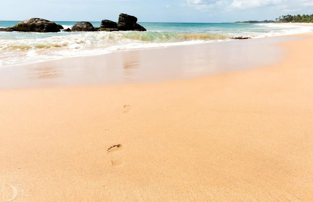 Turtle Bay Boutique Hotel-1