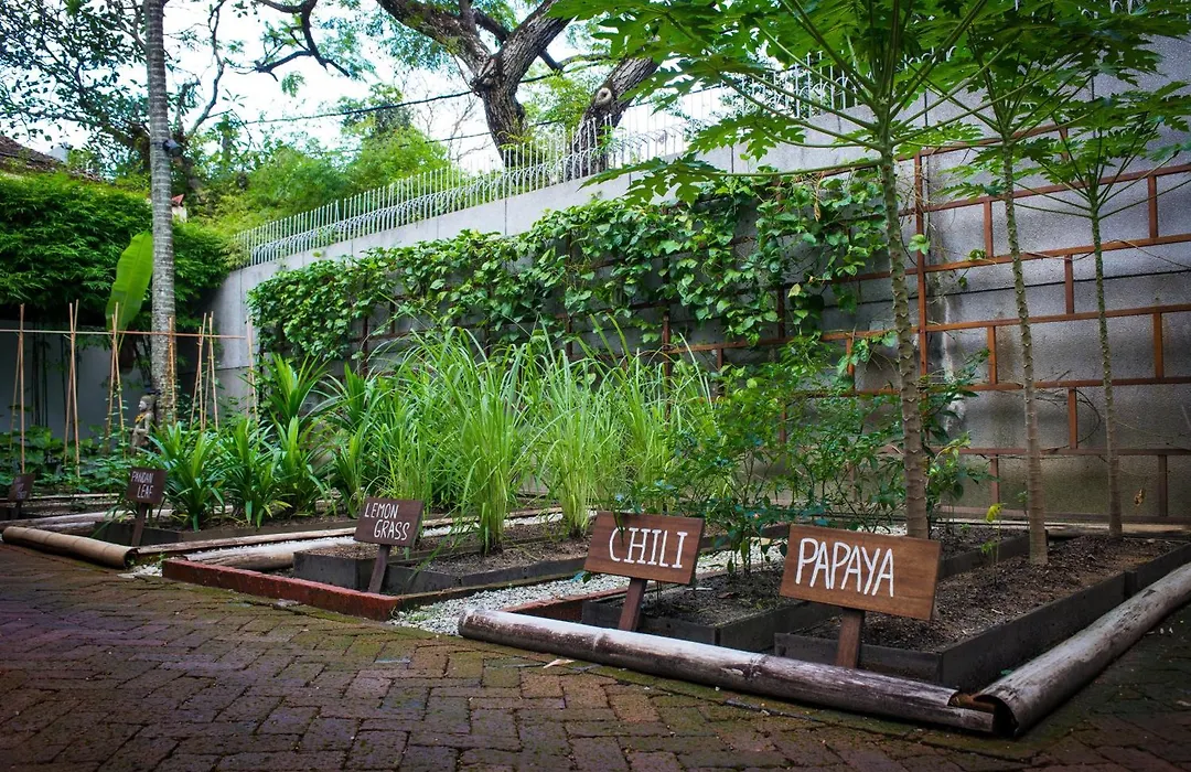 Villa Samadhi By Samadhi (Adults Only)-1