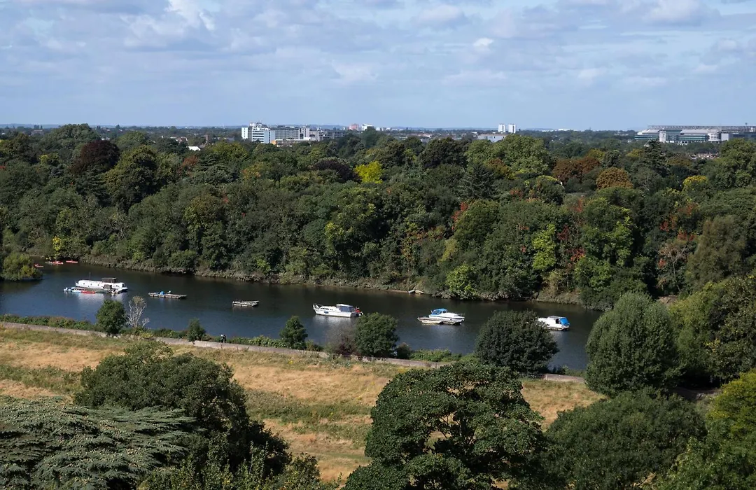 The Petersham-1