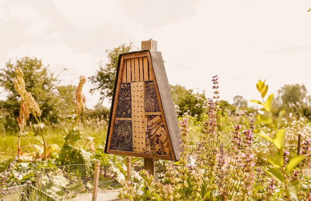 Boutiquehotel & Tiny Houses Plek17-1