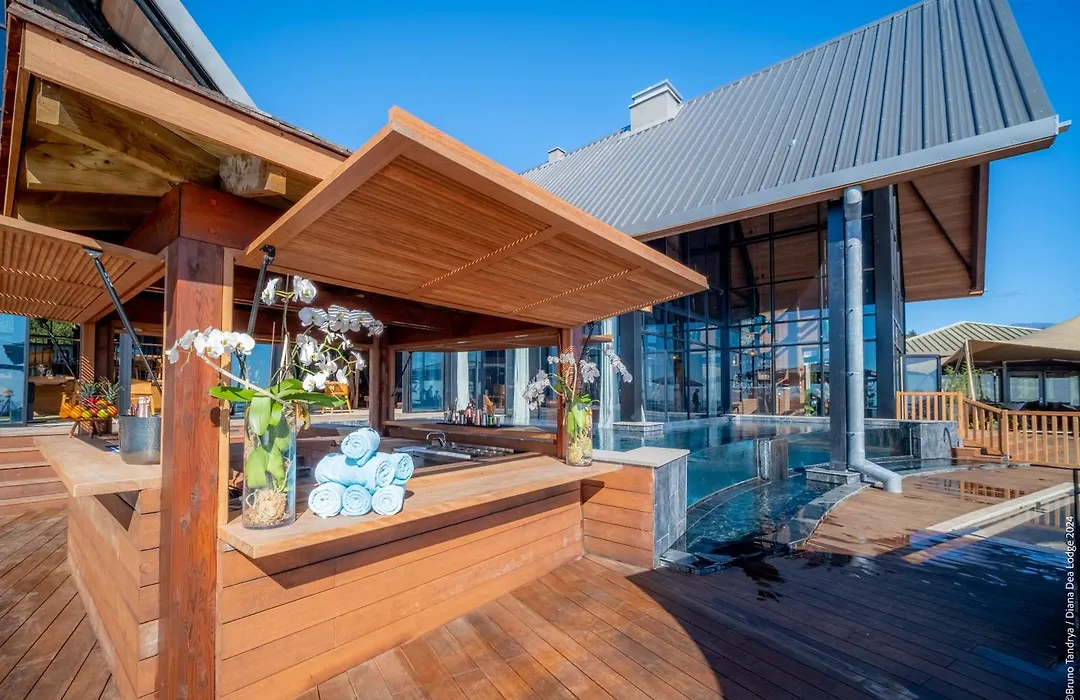 Hôtel Diana Dea Lodge&SPA-1