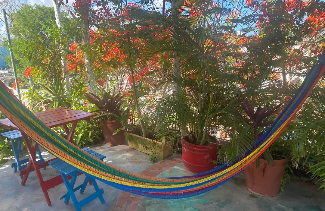 Maison Tulum-1