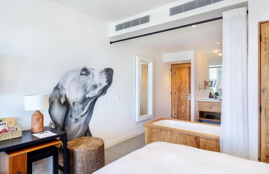Hotel El Ganzo - Adults Only-1