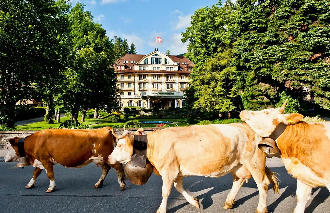 Le Grand Bellevue-1