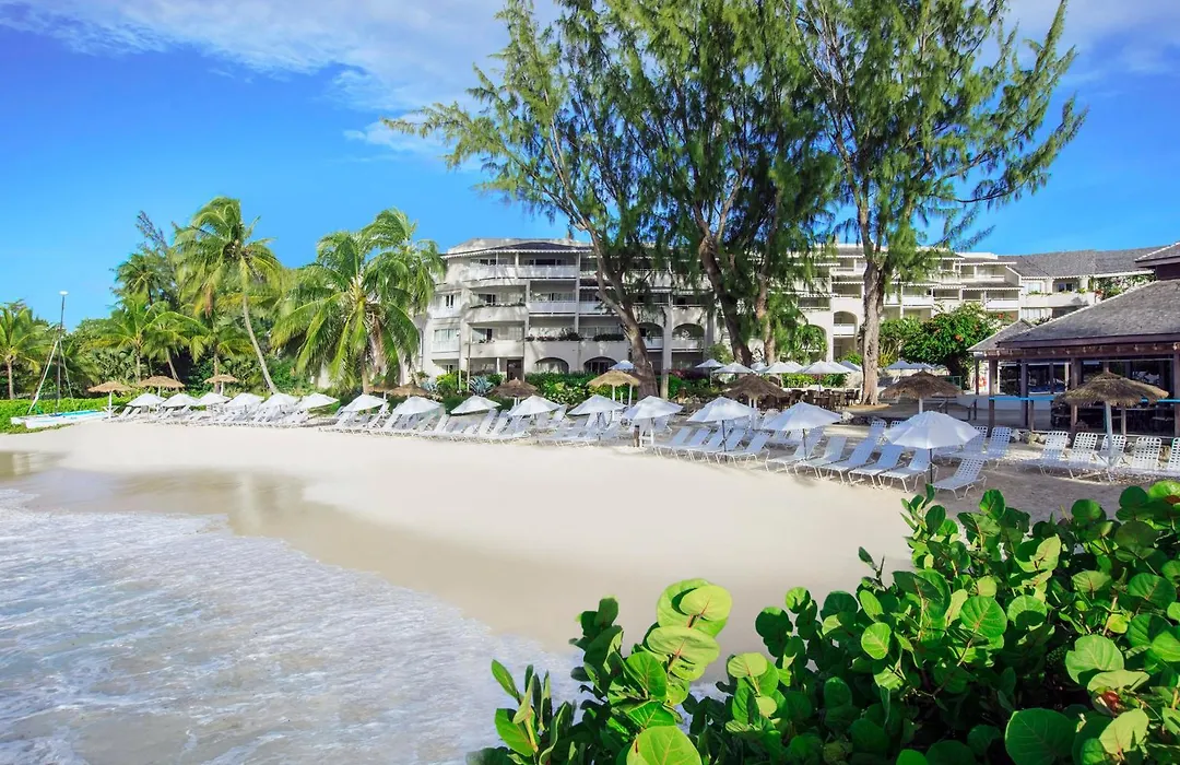 Bougainvillea Barbados-1