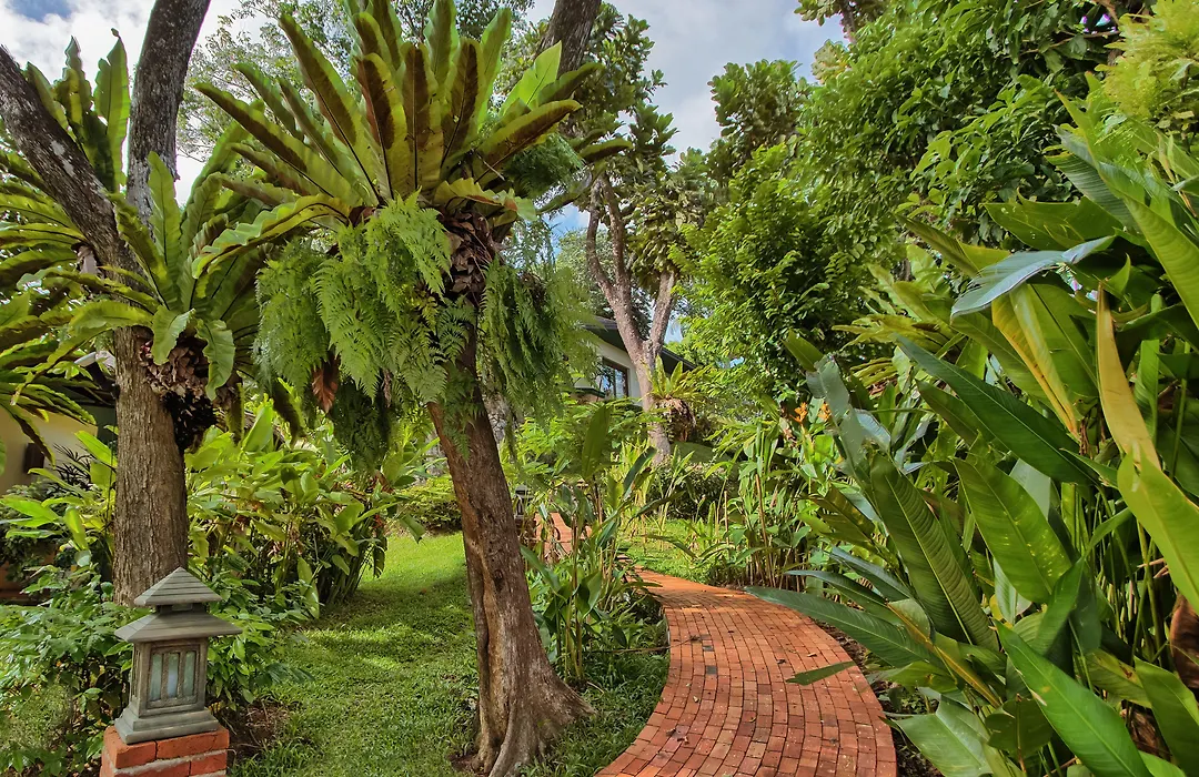 Mangosteen Ayurveda & Wellness Resort - Sha Plus-1