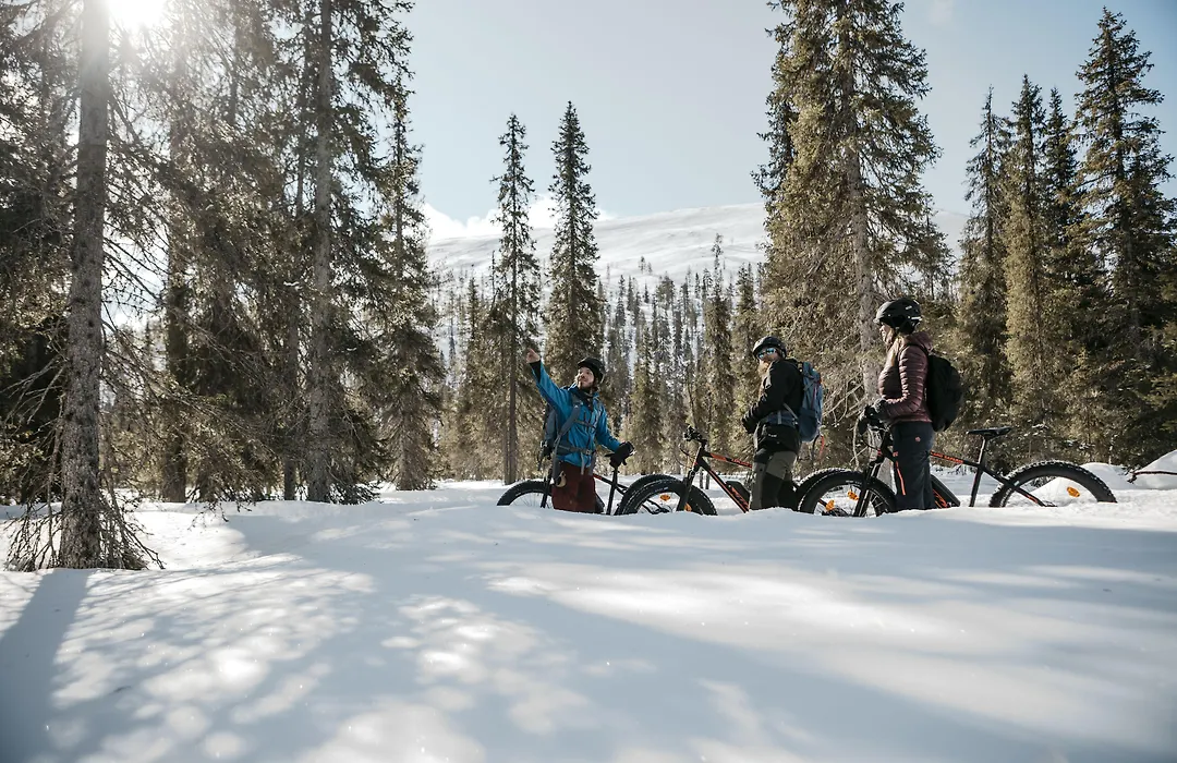 Lapland Hotels Yllaeskaltio-1