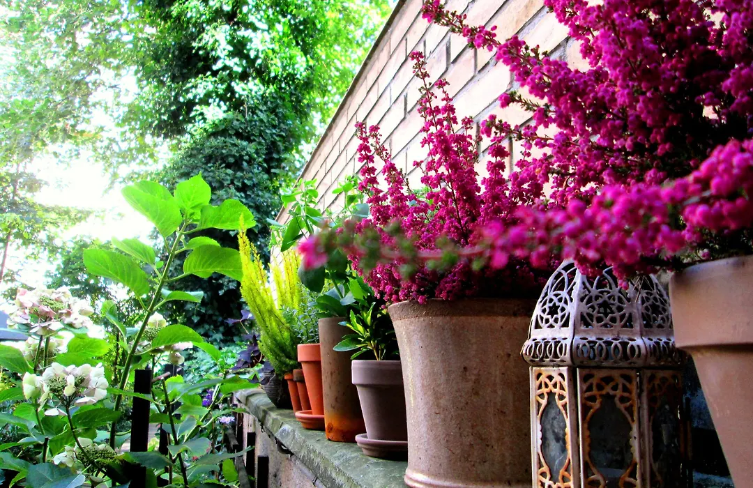 Sofs Boutique Hotel-1