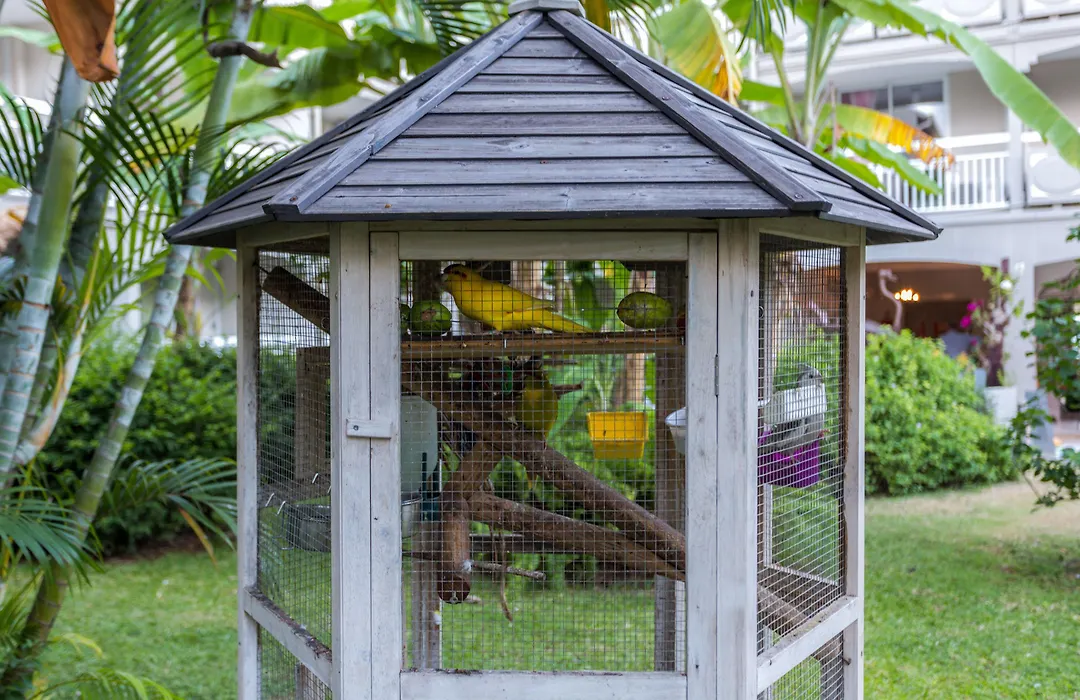 La Pagerie - Tropical Garden Hotel-1