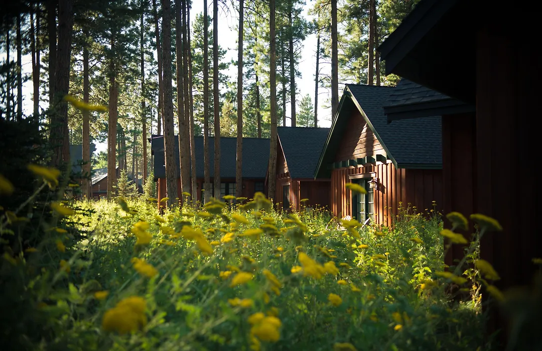 Fivepine Lodge-1