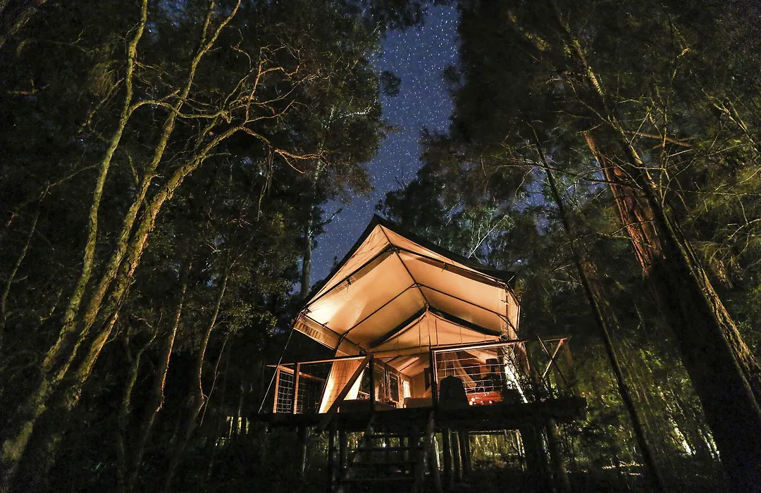 Paperbark Camp-1