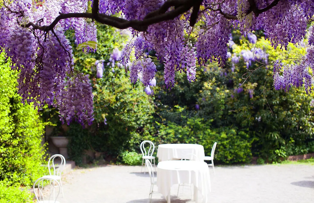 Albergo Ristorante Madonnina-1