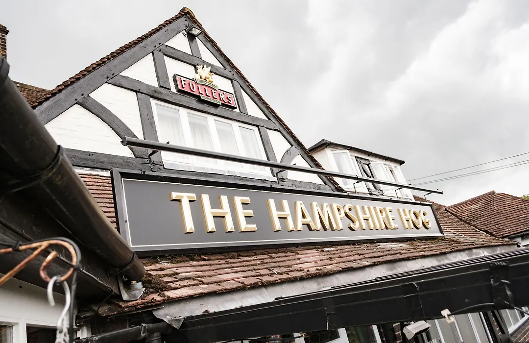 The Hampshire Hog-1