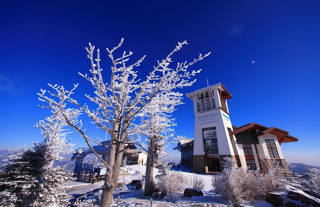 Mona Yongpyong Hotel-1
