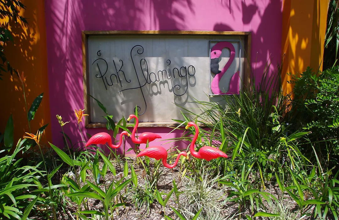 Pink Flamingo Resort-1