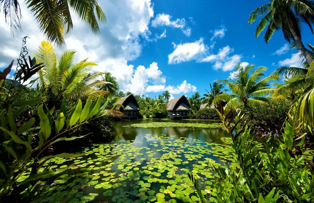 Maitai Lapita Village Huahine-1